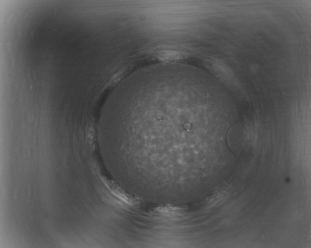 X0000071330367200606261253