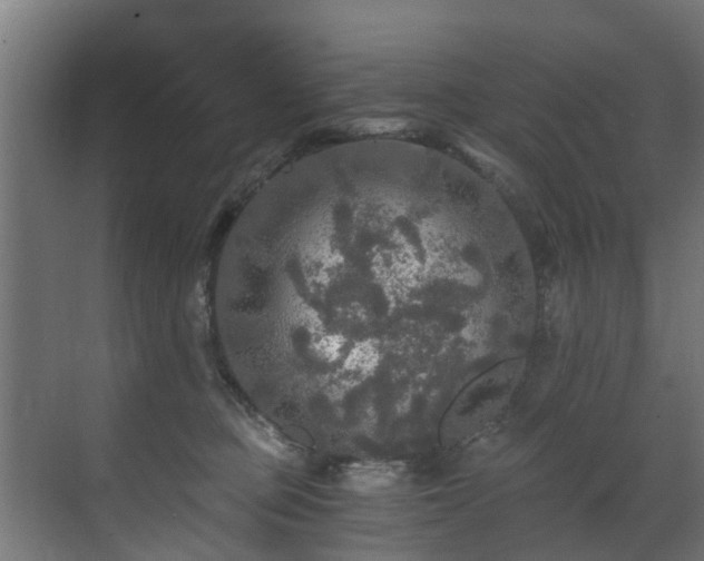 X0000071330373200606261253