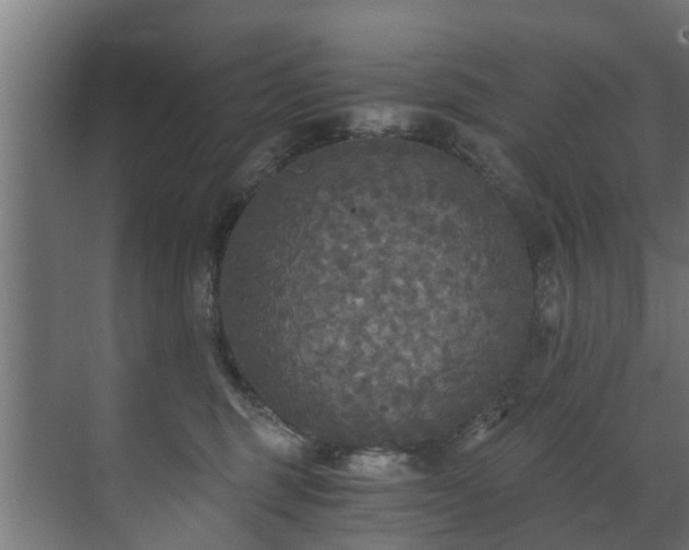 X0000071330375200606261253