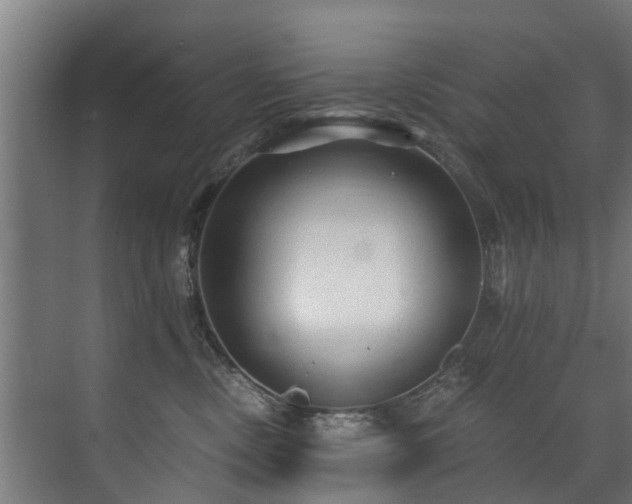 X0000071330378200606261253