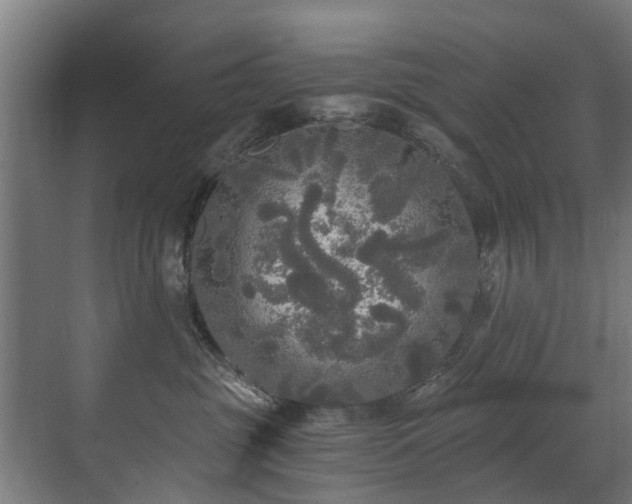 X0000071330381200606261253