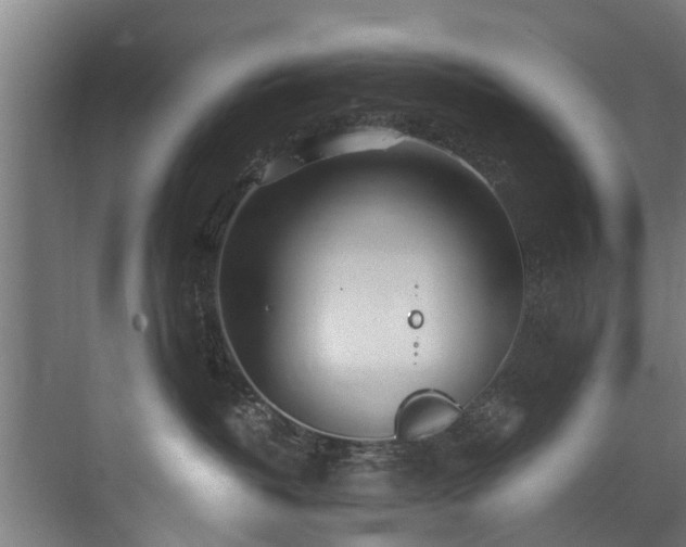 X0000071330382200606261253