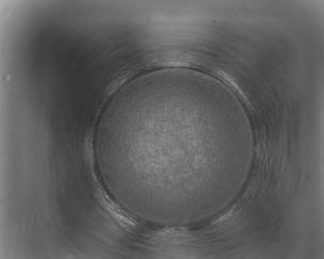 X0000071330386200606261252