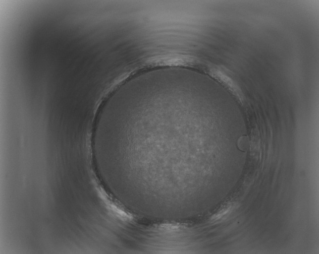 X0000071330394200606261252