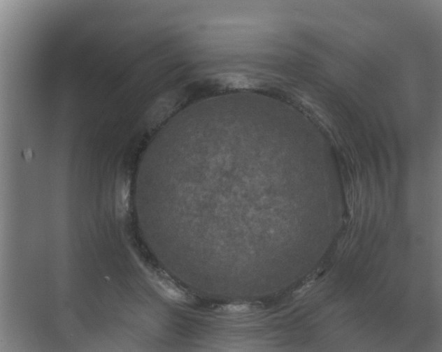 X0000071330406200606261252