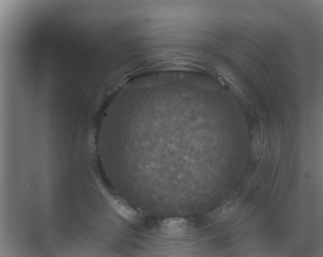 X0000071330410200606261252