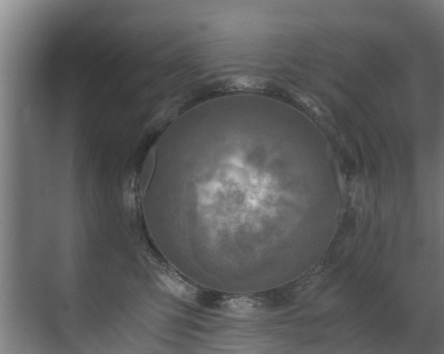 X0000071330423200606261251