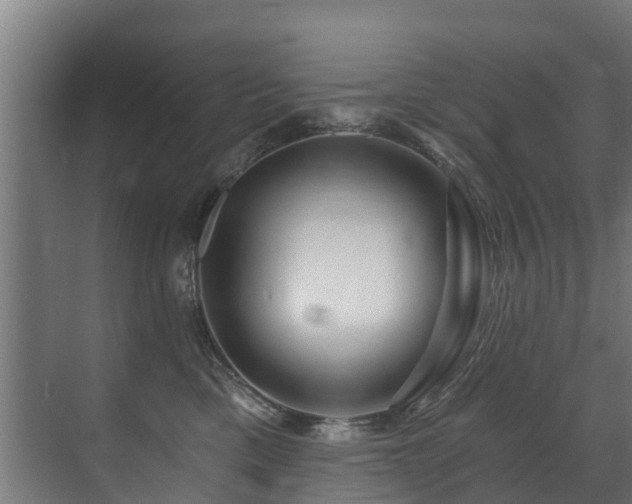 X0000071330425200606261251