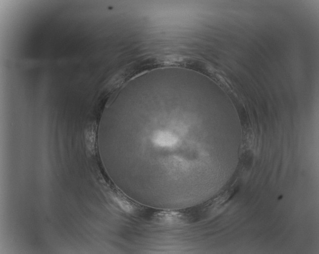 X0000071330427200606261251