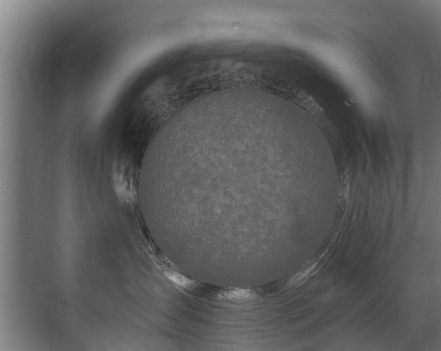 X0000071330431200606261251