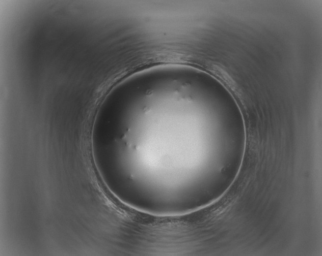 X0000071330433200606261250