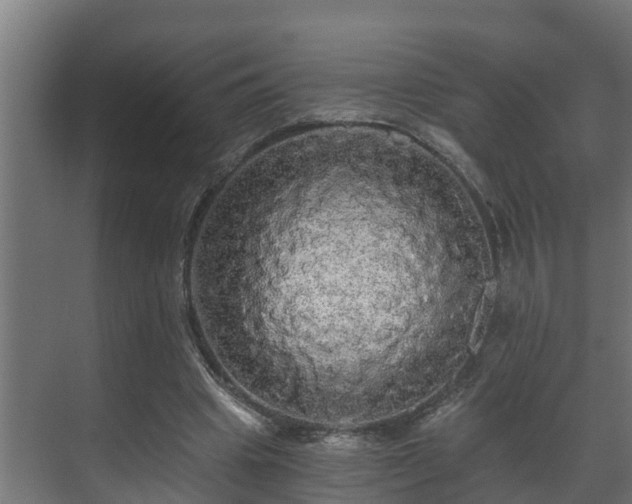 X0000071330441200606261251