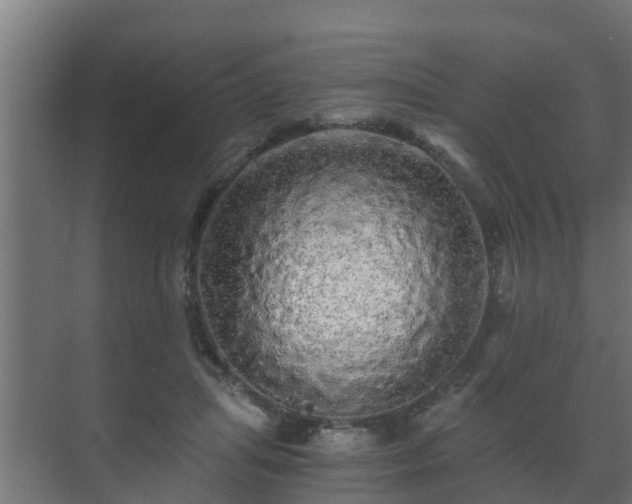 X0000071330455200606261251