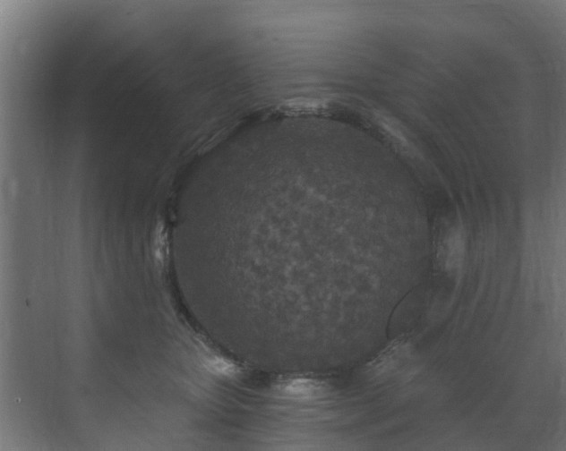 X0000071330467200606261251