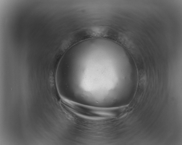 X0000071330469200606261251