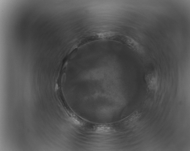 X0000071330471200606261251