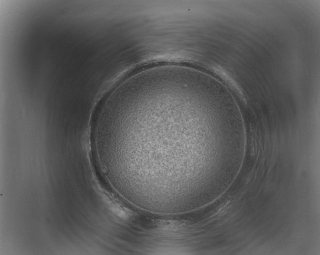 X0000071330486200606261250