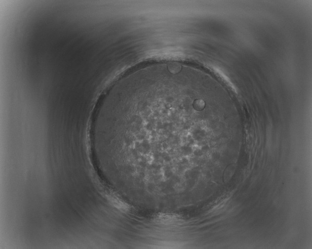 X0000071330487200606261250