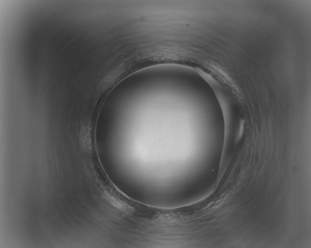 X0000071330489200606261250