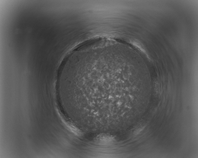 X0000071330491200606261250