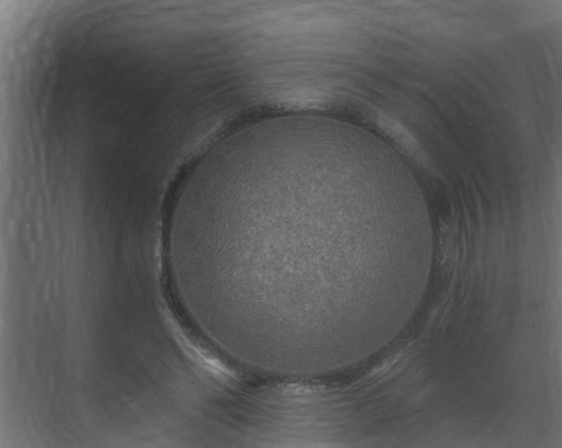 X0000071330494200606261250