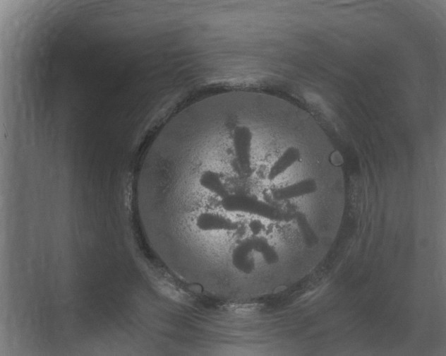 X0000071330495200606261250