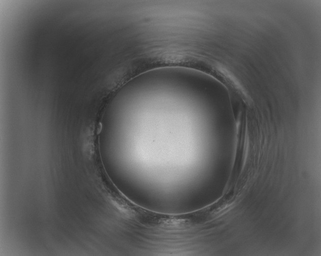 X0000071330497200606261250