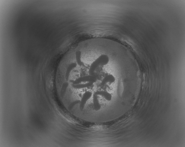 X0000071330499200606261250