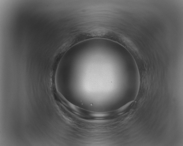 X0000071330501200606261250