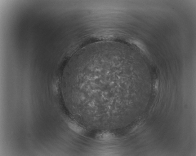 X0000071330503200606261250