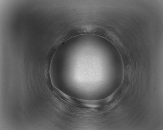 X0000071330509200606261250