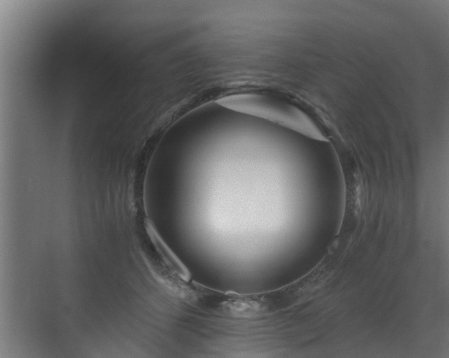 X0000071330512200606261250