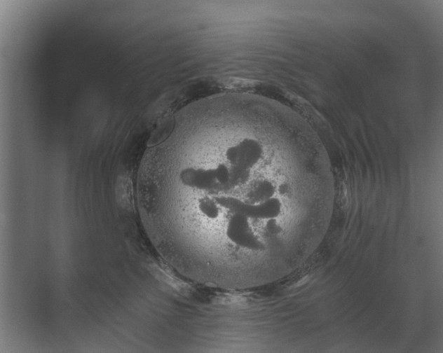 X0000071330523200606261250