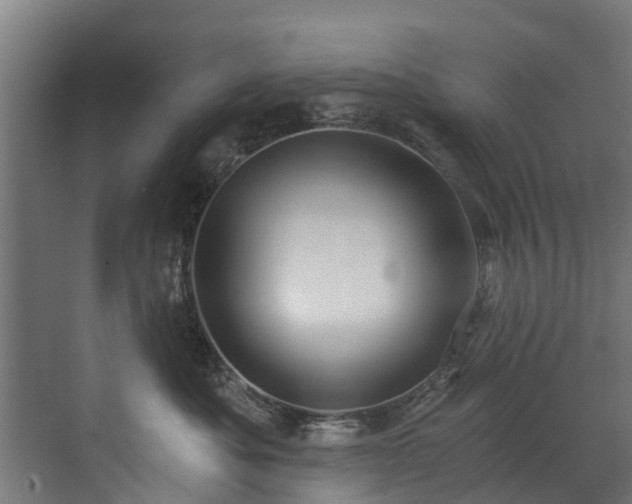 X0000071330525200606261250