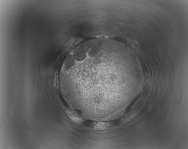 X0000071330527200606261250