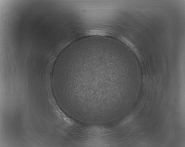 X0000071330529200606261249