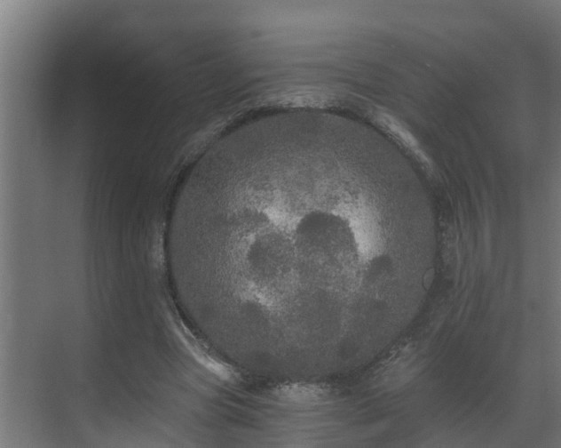 X0000071330537200606261249