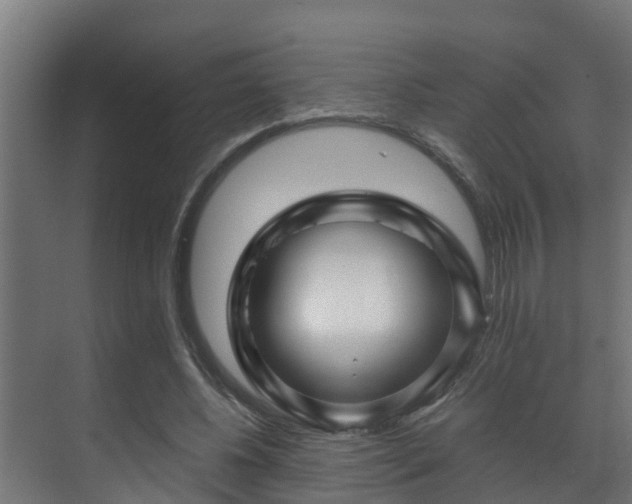 X0000071330540200606261249