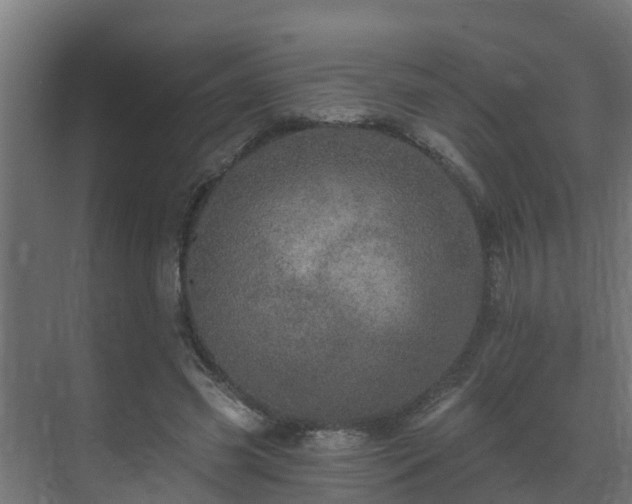 X0000071330541200606261249