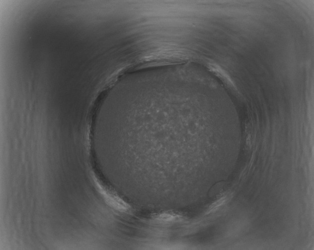 X0000071330542200606261249