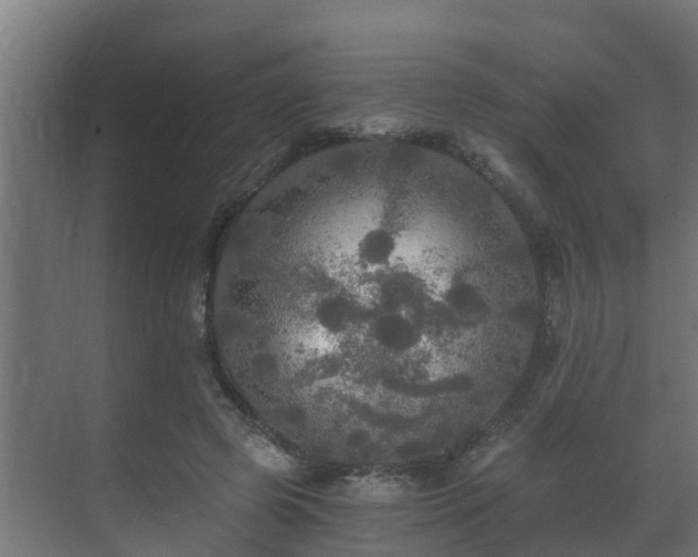 X0000071330545200606261249