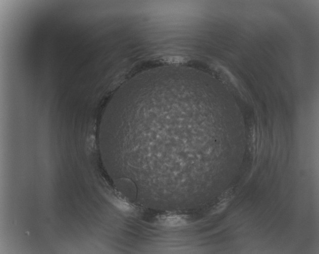 X0000071330553200606261249