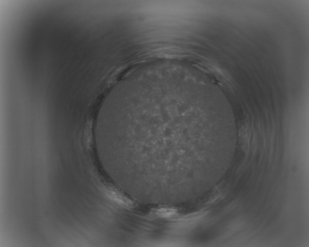 X0000071330554200606261249