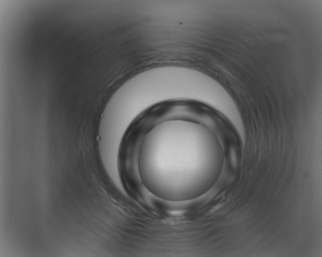 X0000071330556200606261249