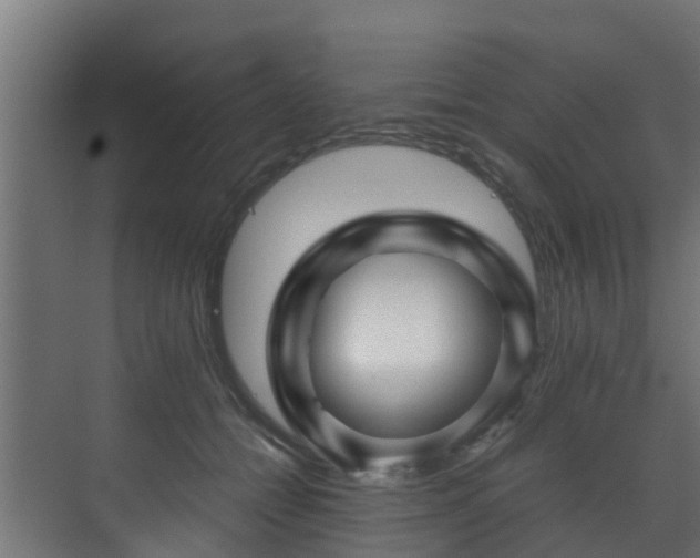 X0000071330558200606261249