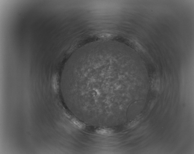 X0000071330561200606261249