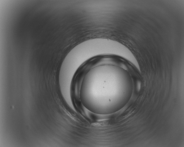 X0000071330568200606261250