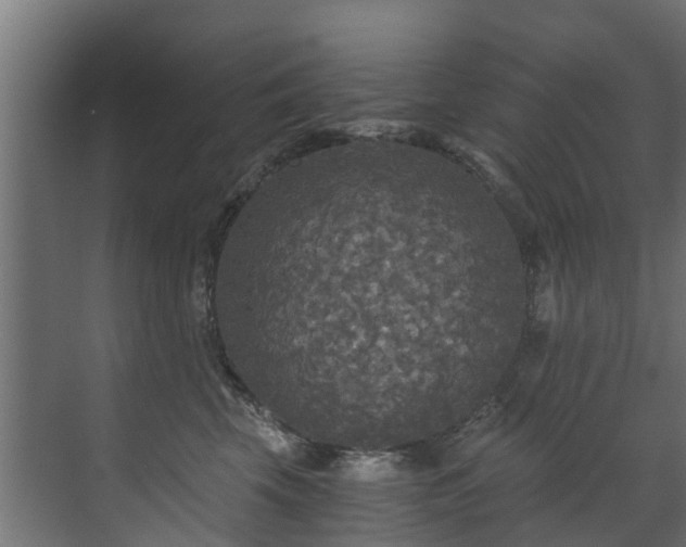 X0000071330569200606261250