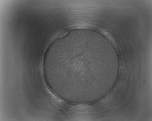 X0000071330578200606261249