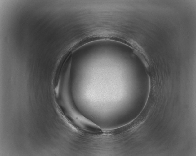 X0000071330581200606261249